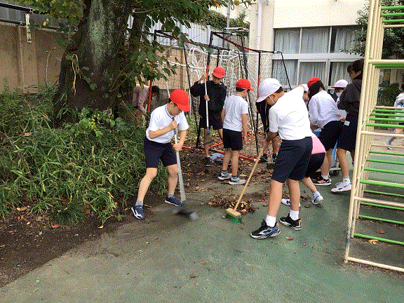 落ち葉拾い５－１